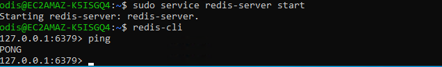 redis install3